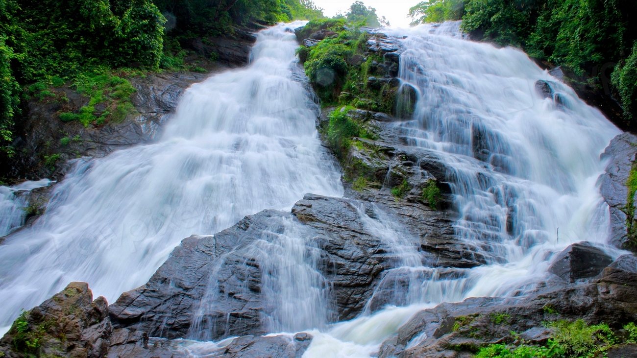 Wayanad Treehouse Escape — Wayanad